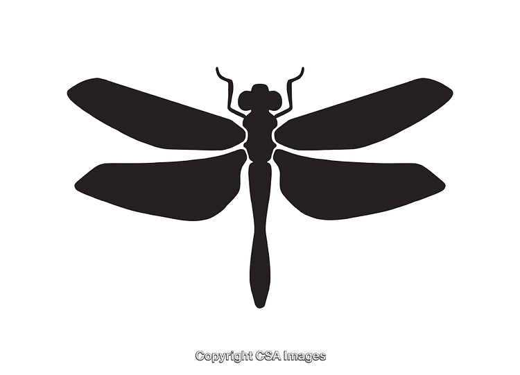 Black And White Silhouette of a Stylized Dragonfly Design