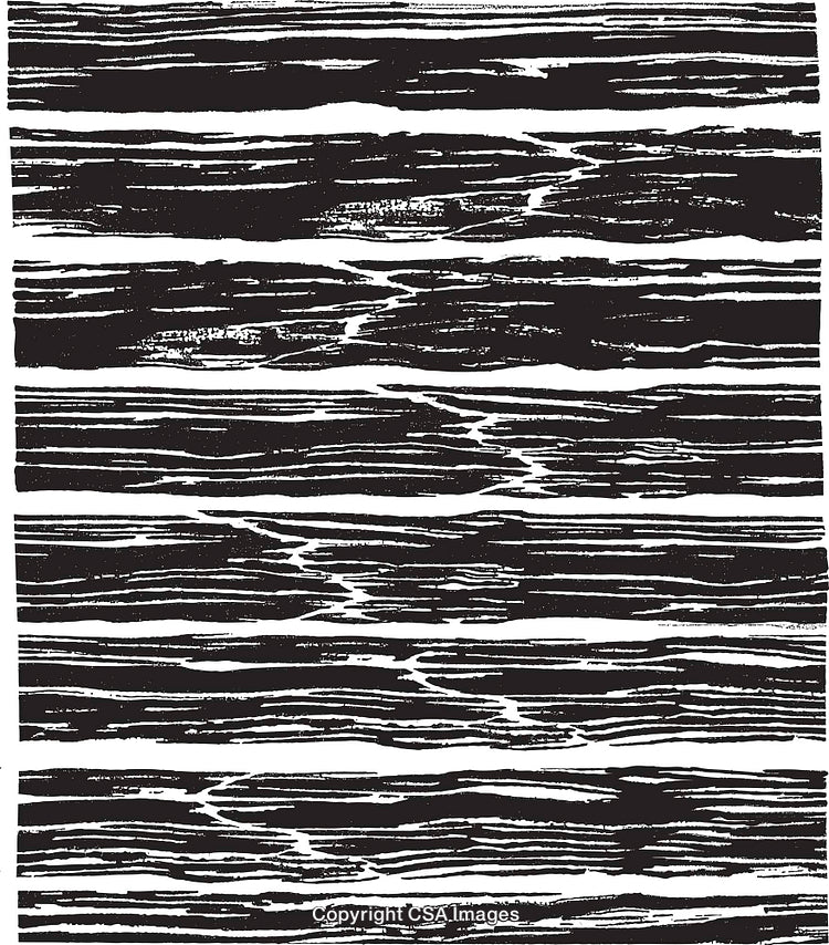 Abstract Black and White Grunge Wood Texture Background