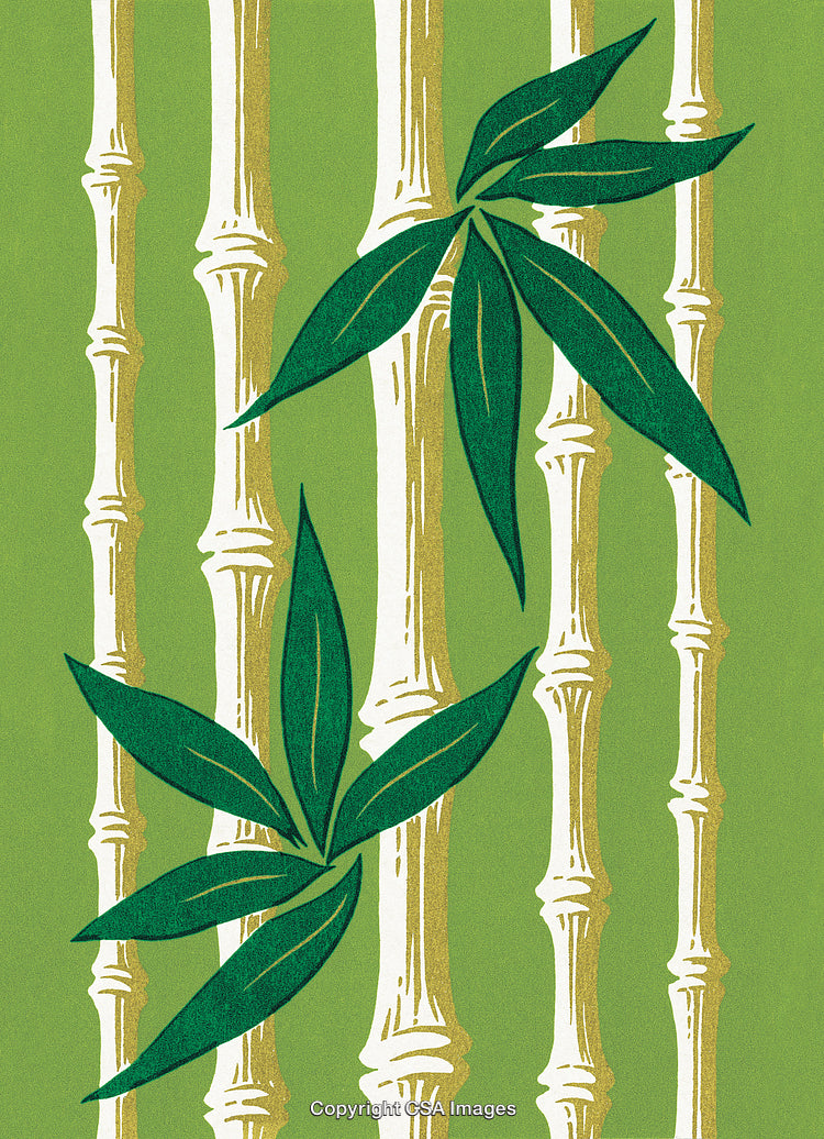 Green Bamboo