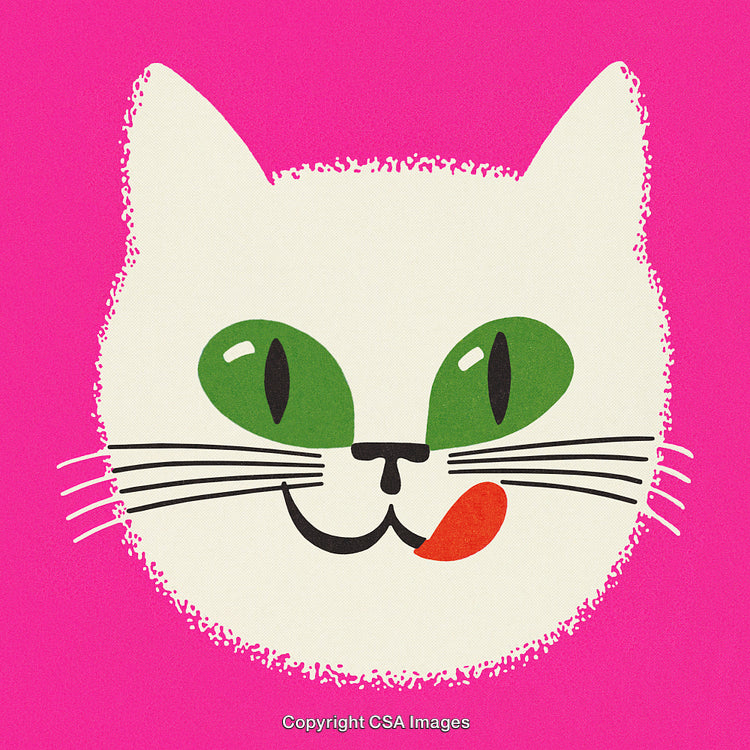 Stylized Illustration of a Happy Cat Face With Bold Pink Background