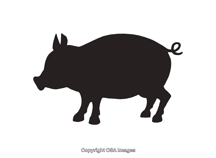 Silhouette of a Pig Icon in Black and White