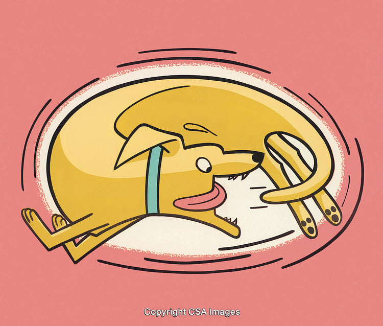Playful Cartoon Dog Chasing Its Tail on a Salmon Pink Background