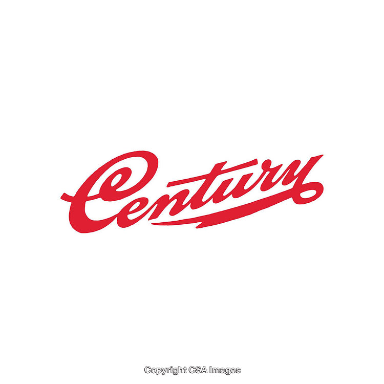 Red Script Typeface Word Logo With Elegant Swirl Designs