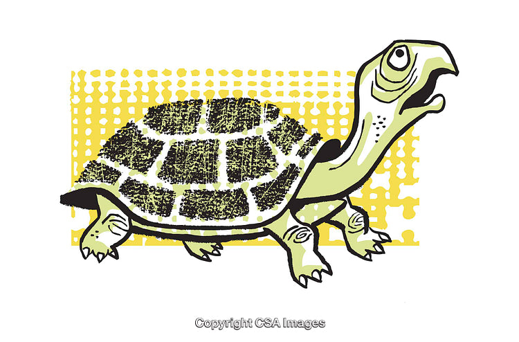 Illustrated Cartoon Turtle with Vibrant Yellow and Black Textured Background