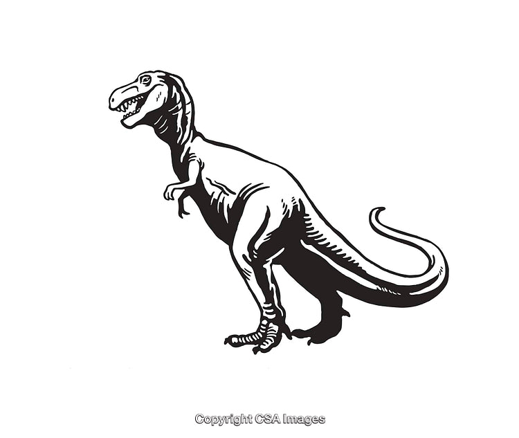 Black and White Line Art Illustration of a Dinosaur
