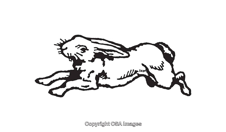 Vintage Black and White Hare Illustration in Dynamic Pose
