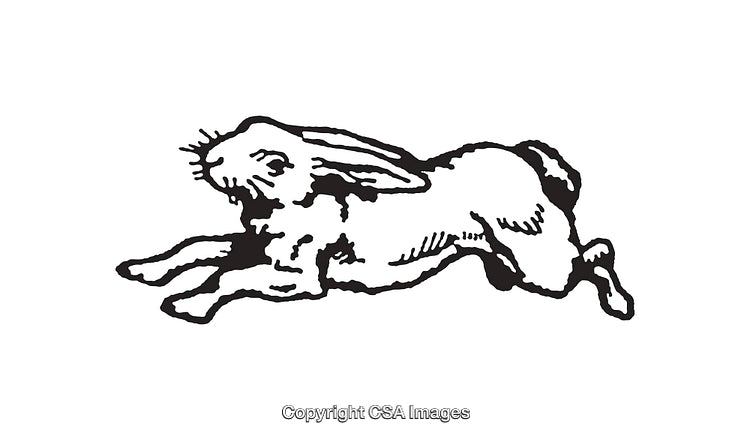 Vintage Black and White Hare Illustration in Dynamic Pose