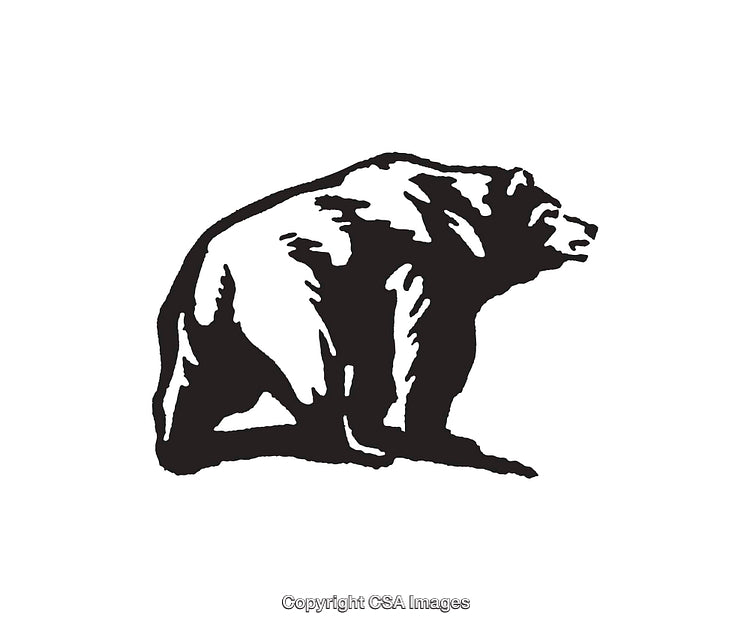 Black and White Illustration of a Grizzly Bear in Artistic Style