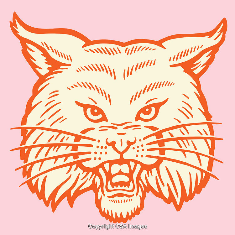 Wild Cat Line Art Illustration with Warm Hues on Soft Pink Background
