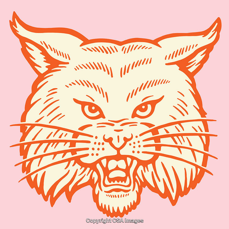 Wild Cat Line Art Illustration with Warm Hues on Soft Pink Background