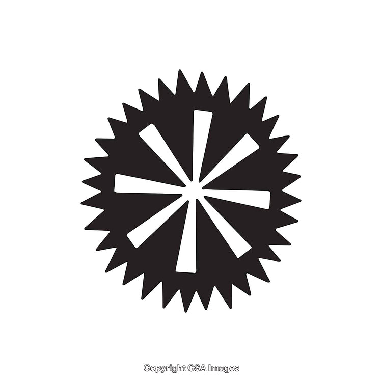 Abstract Black and White Geometric Dingbat Design with Starburst Detail