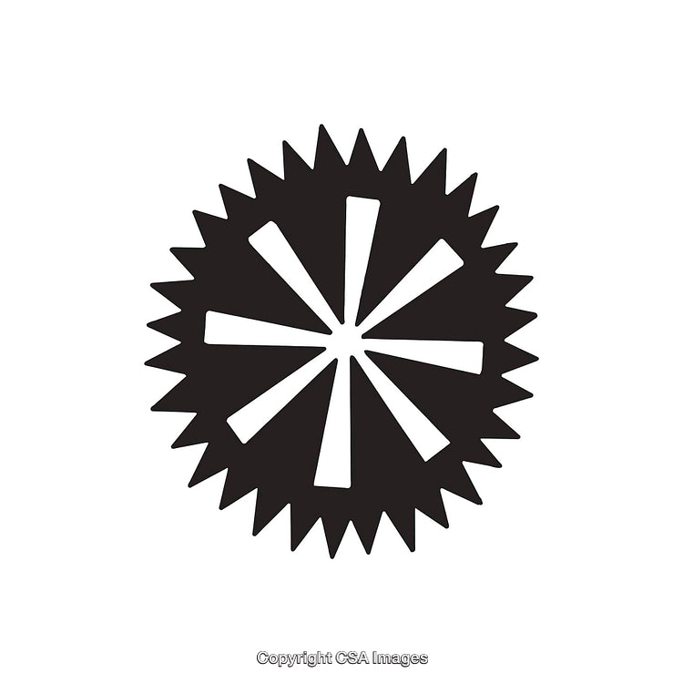 Abstract Black and White Geometric Dingbat Design with Starburst Detail