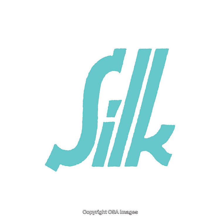 Stylized Minimalist Teal Silk Logo on a Clean White Background