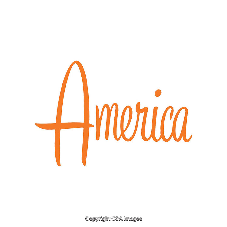 Orange Script Design Featuring the Word America on White Background
