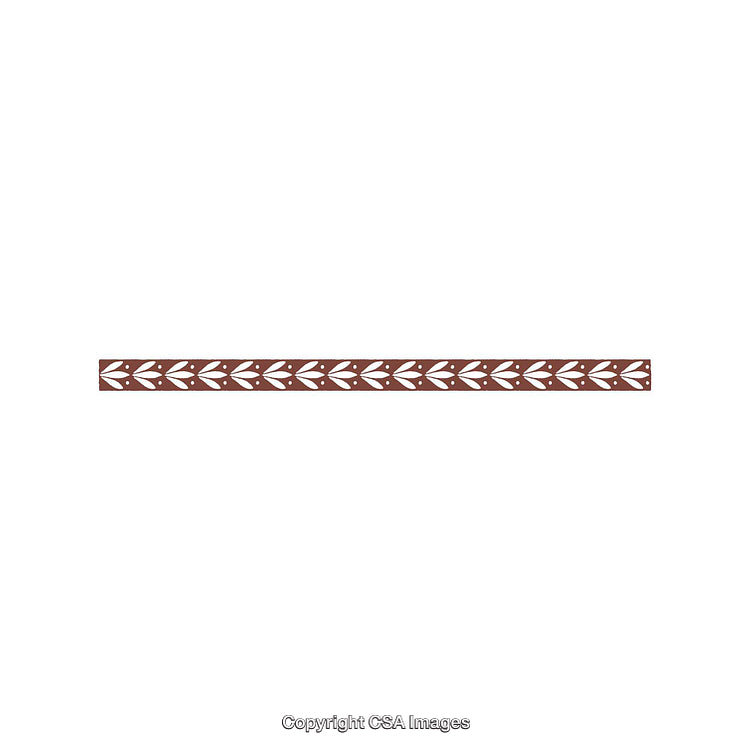 Intricate Decorative Border With Leaf Motif on White Background