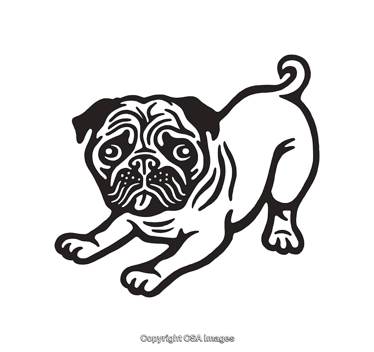 Black And White Line Art Illustration of a Playful Pug Dog