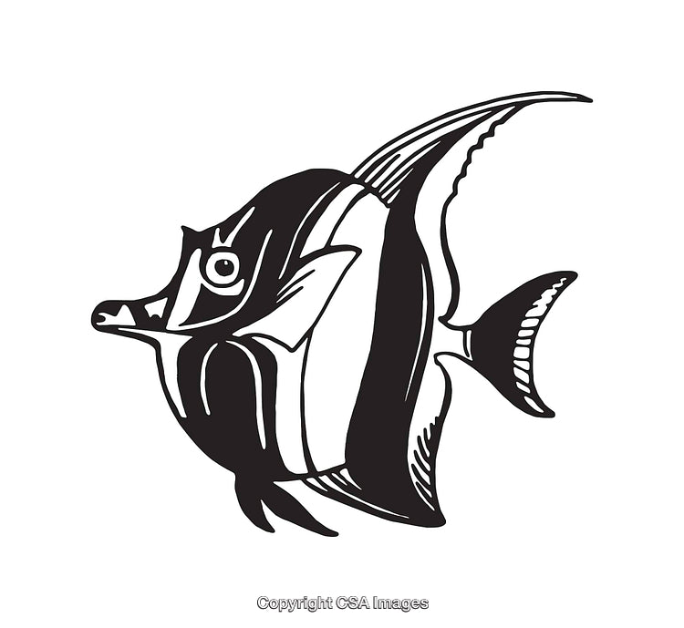 Black and White Line Art Illustration of an Angelfish