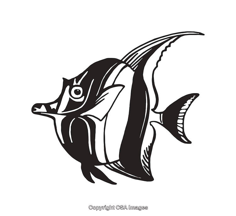 Black and White Line Art Illustration of an Angelfish