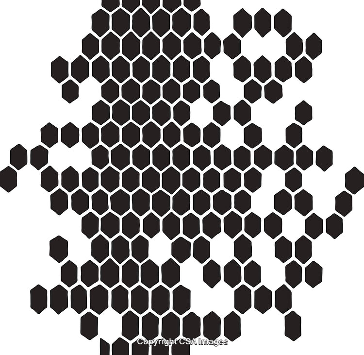 Abstract Black and White Hexagonal Pattern With Geometric Shapes