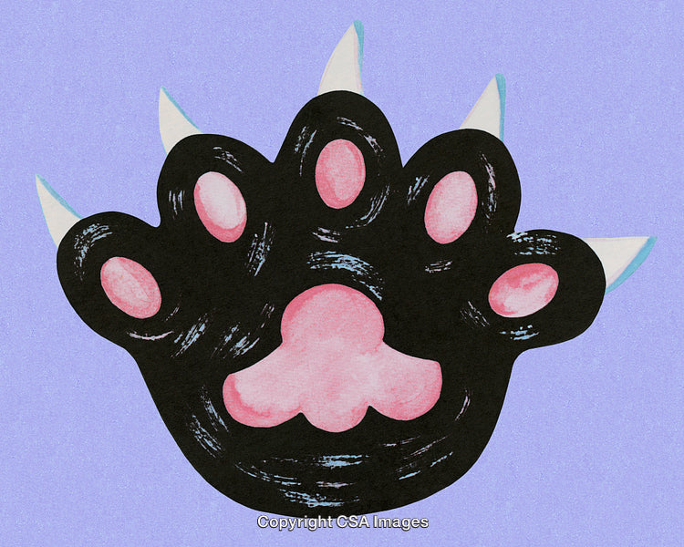 Illustration of a Cat Paw Print with Claws on a Purple Background
