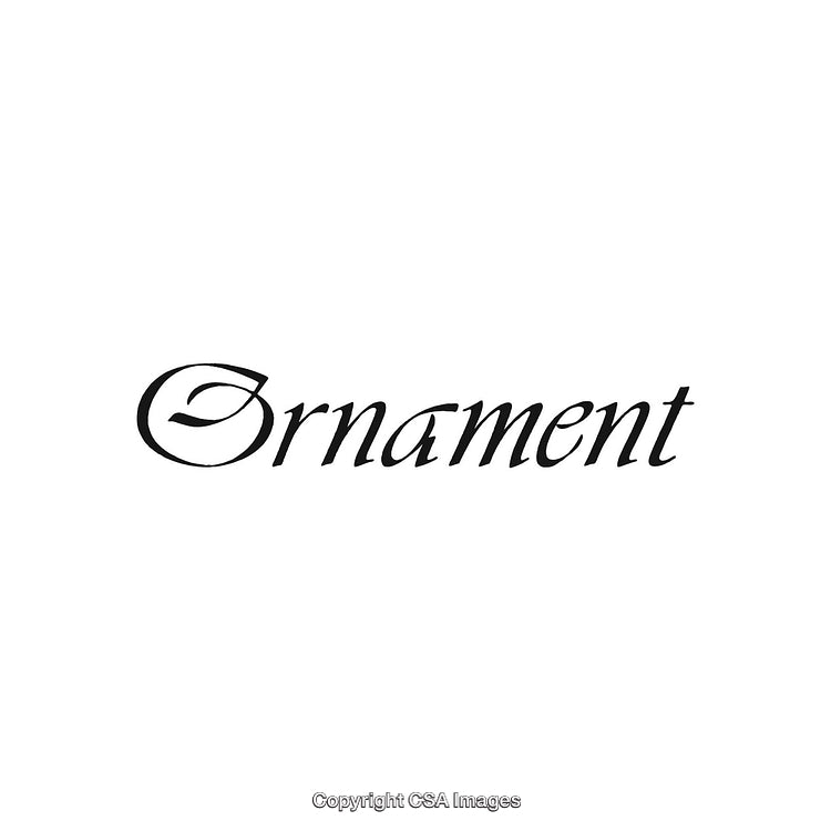 Elegant Calligraphy Displaying the Word Ornament on a White Background