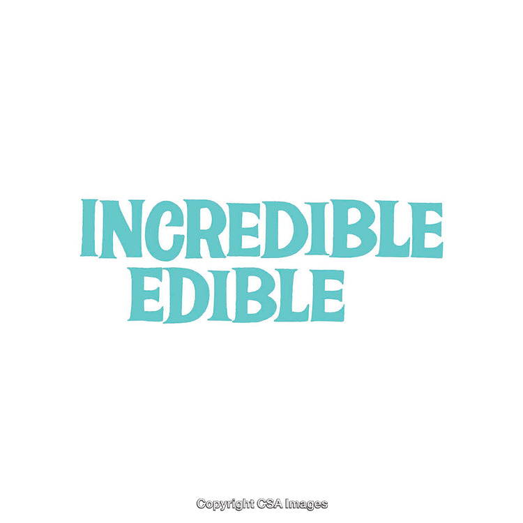 Minimalist Typography Design with Blue Text on White Background