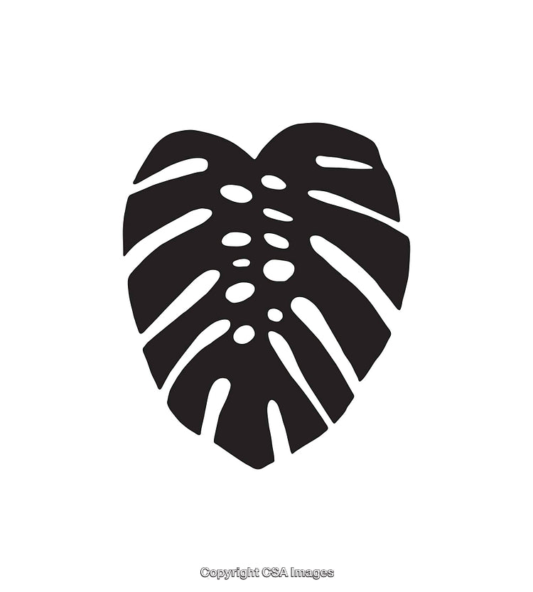 Minimalist Black and White Illustration of a Monstera Leaf