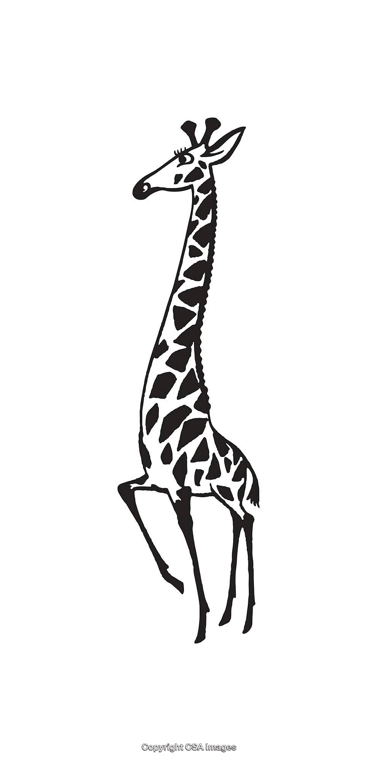 Stylized Black and White Line Art Illustration of a Standing Giraffe