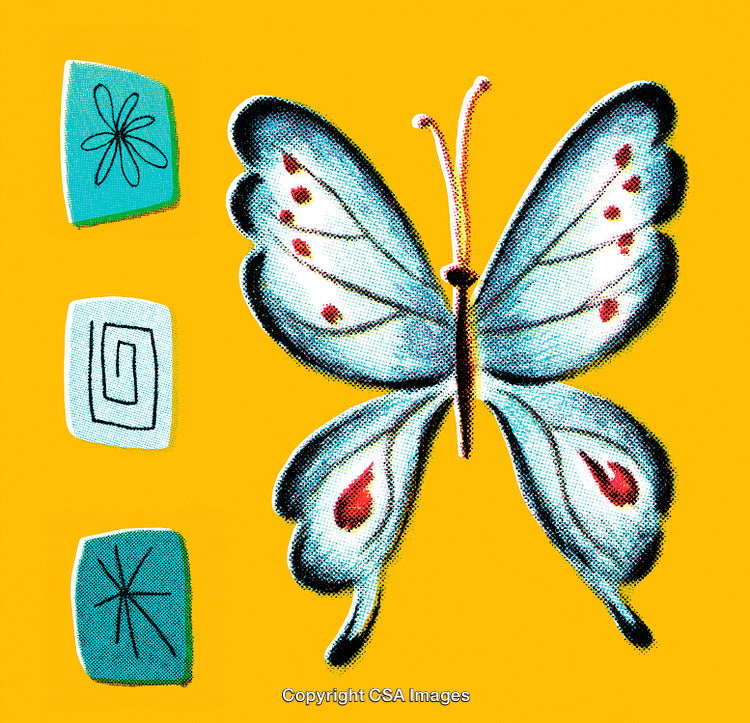 Vivid Illustration of Butterfly and Geometric Elements with Bright Colors