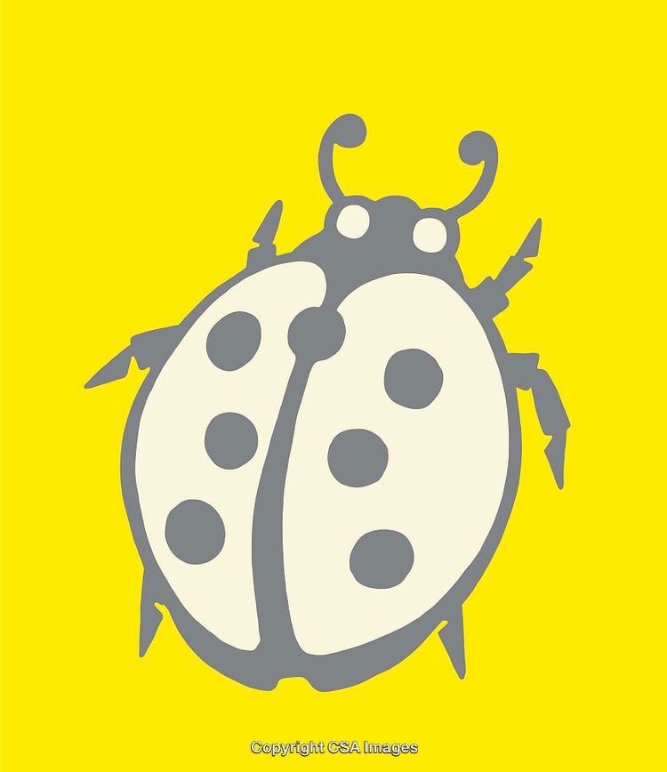 Stylized Ladybug Illustration Against Vibrant Yellow Background