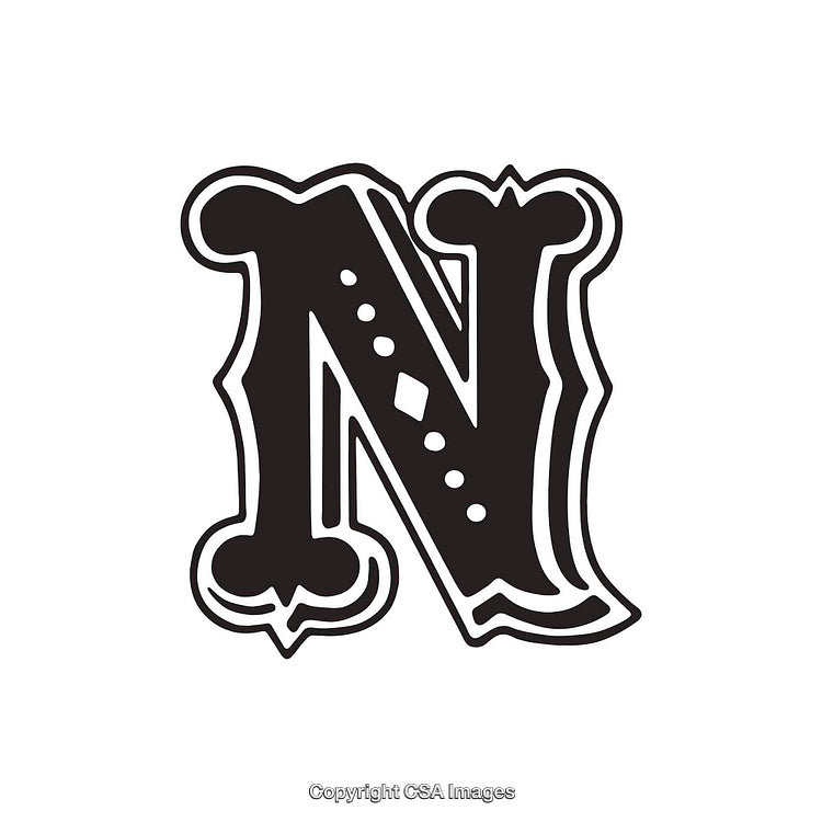 Ornate Decorative Letter N in Black With Intricate Design Details