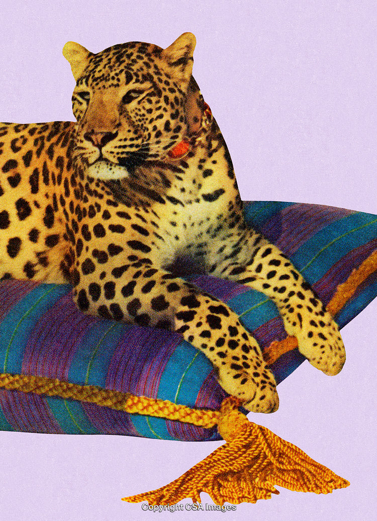 Resting Leopard on a Vibrant Striped Pillow Against a Pastel Background
