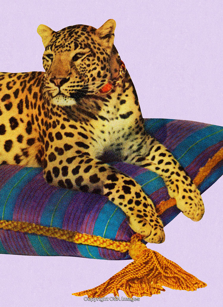 Resting Leopard on a Vibrant Striped Pillow Against a Pastel Background