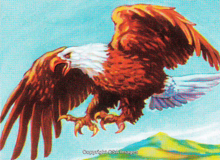 Majestic Bald Eagle Soaring Over Vibrant Landscape in Bright Clear Sky