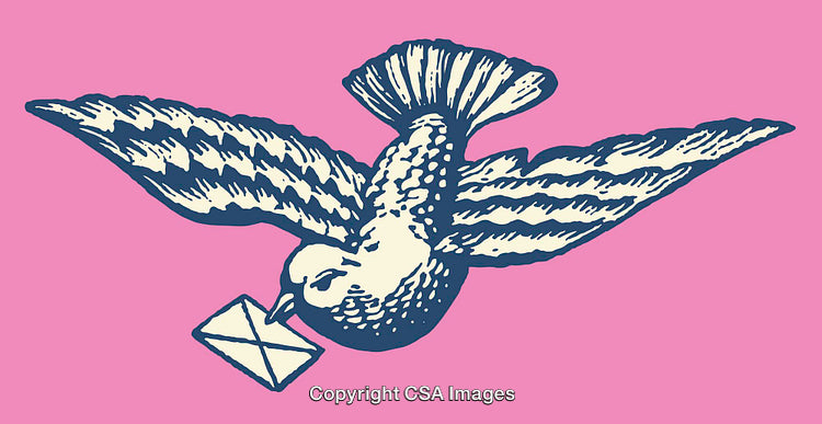 Vintage Illustration of a Bird Delivering a Message on Pink Background