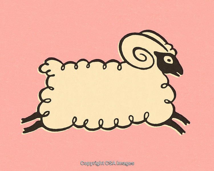Illustration of a Sheep with Curled Horns on a Pink Background