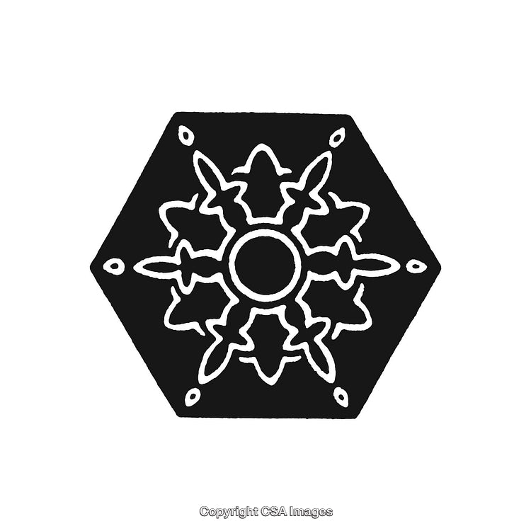 Black and White Hexagonal Ornament with Intricate Symmetrical Design