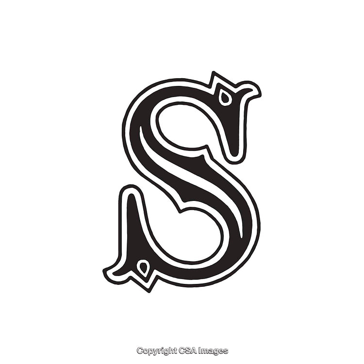 Decorative Capital Letter S in Monochrome Artistic Design