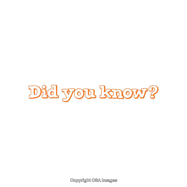 Minimalist Orange Text Highlighting Trivia Facts on White Background