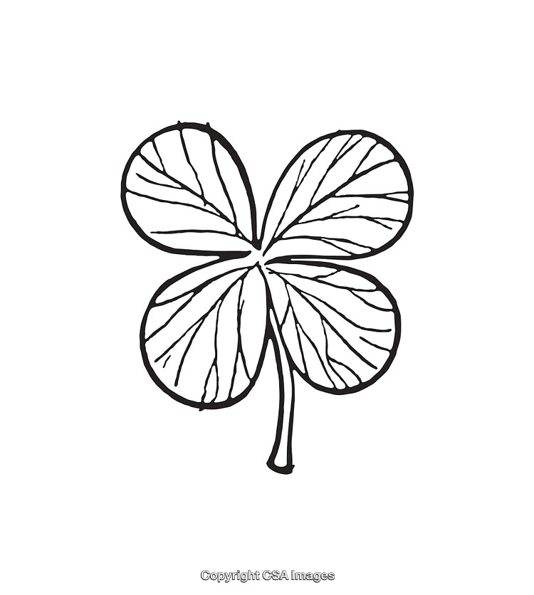 Black and White Line Art of a Four Leaf Clover Illustration