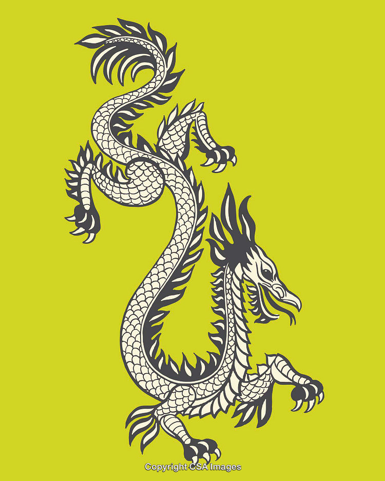 Black and White Dragon Illustration On Vibrant Yellow Background
