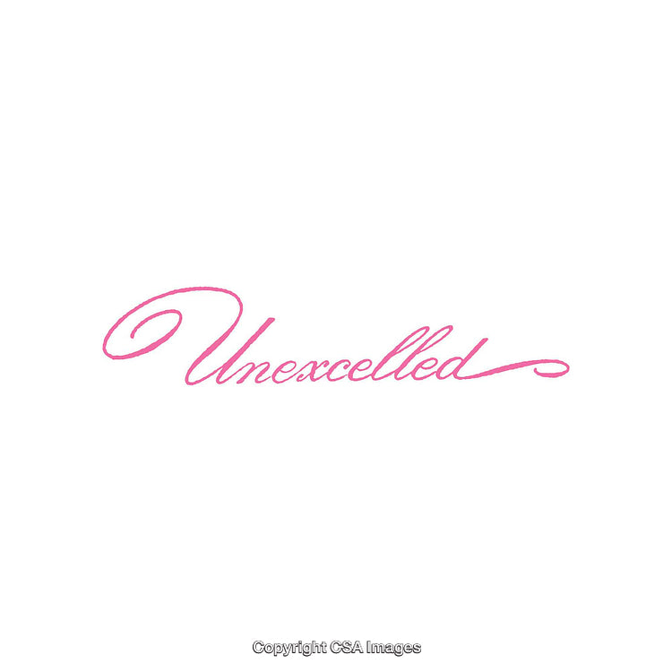 Elegant Pink Calligraphy Typography Displaying Word Unexcelled on White Background