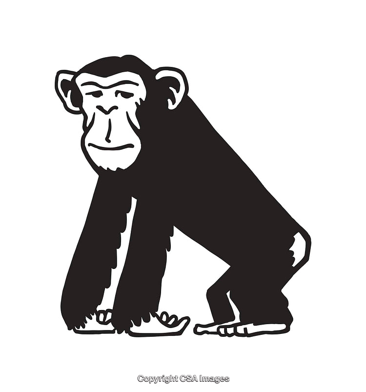 Black And White Illustration of a Thoughtful Chimpanzee
