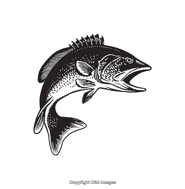 Black And White Line Art Illustration of a Jumping Fish