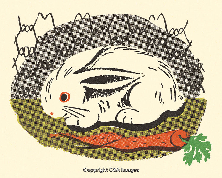 Illustration of a Rabbit Observing a Carrot in a Vegetable Garden