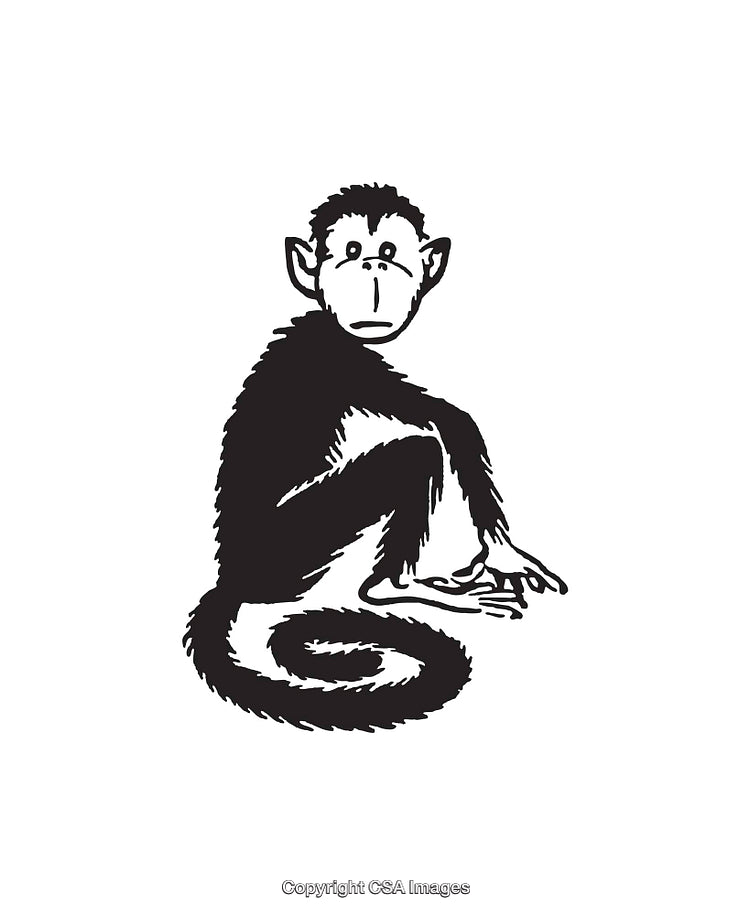 Black and White Line Art of a Sitting Monkey Illustration