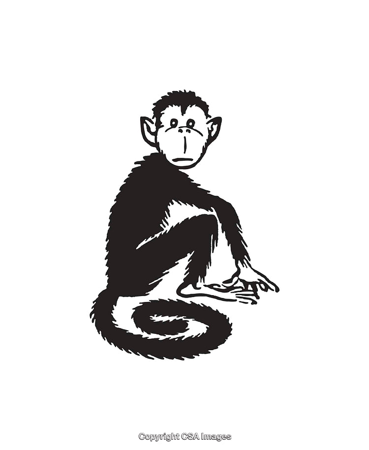 Black and White Line Art of a Sitting Monkey Illustration