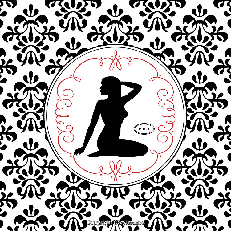 Elegant Silhouette of a Woman on Vintage Baroque Pattern Design