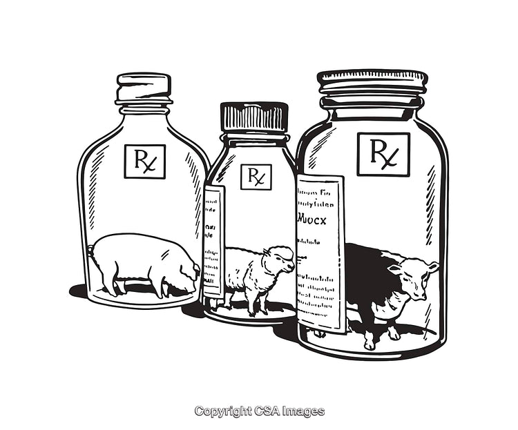 Black and White Line Art of Animals in Medicine Jars