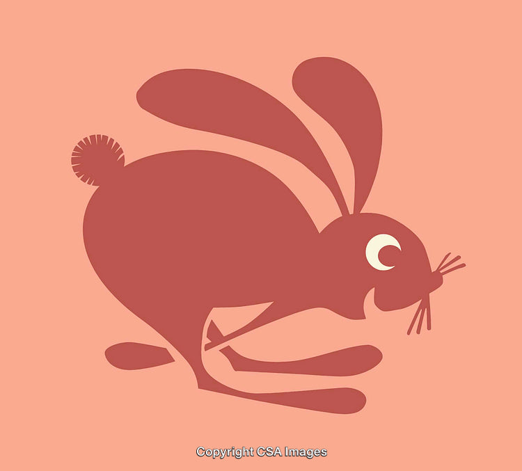 Stylized Illustration of a Rabbit in Minimalist Art Style